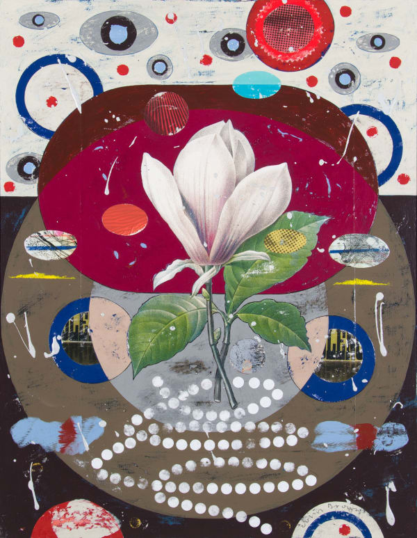 Saucer magnolia COLIN BROWN