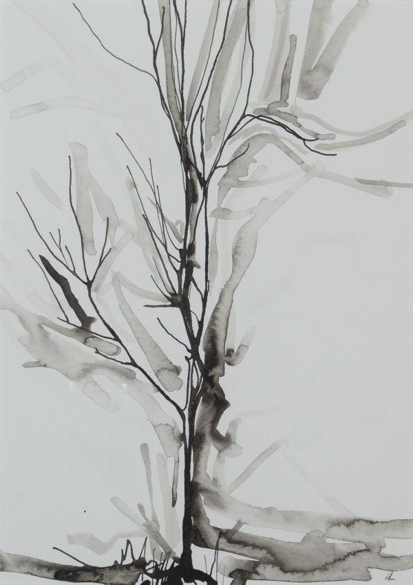 Lizzie Rose Tree Drawing i, 2022 ink on paper 20cm x 28cm (37.5cm x 47cm)