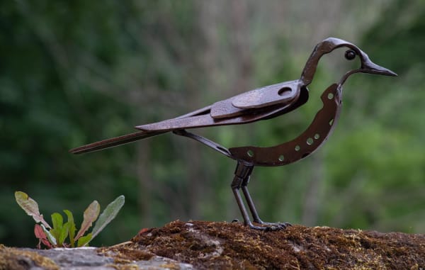 Helen Denerley Jackdaw i