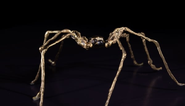 Helen Denerley Wee Spider, 2024 6.5cm (h) x 17cm x 14cm brass and spoons