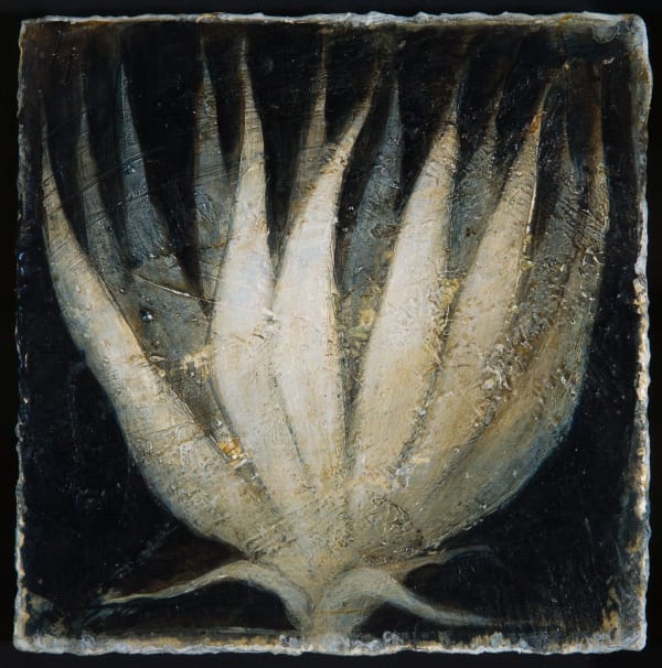 Peter White, Flower 11