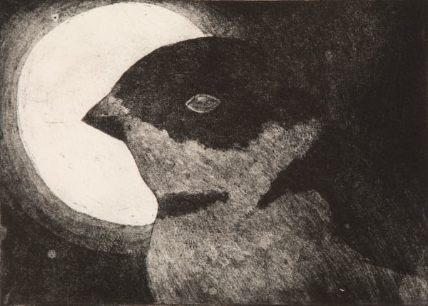 Paul Bloomer Little Auk, 2019 etching 21cm x 15cm Edition of 50