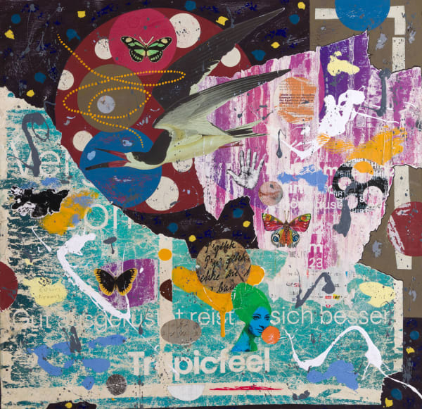 Colin Brown Tropicfeel, 2025 collage and mixed media 60cm x 60cm (63cm x 63cm framed)