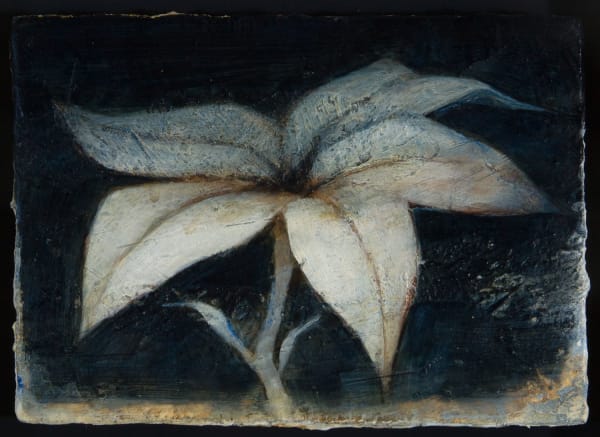 Peter White Flower 9 acrylic and wax 12.5cm x 17cm