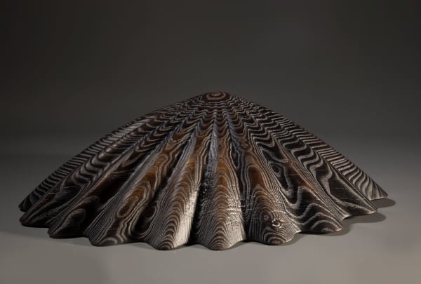 Duke Christie Limpet torched (large), 2020 ash 18cm x 50cm x 33cm