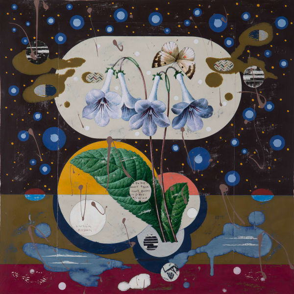 Colin Brown - Gloxinia, 2021