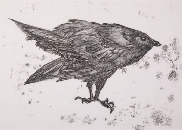 Helen Denerley Raven ii, 2019 monoprint 27cm x 38cm unframed, 57cm x 47cm framed