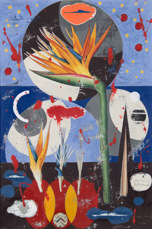 Bird of Paradise, COLIN BROWN