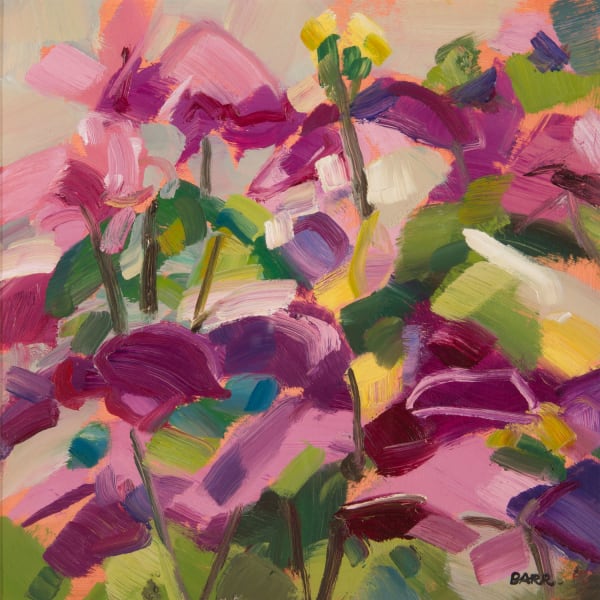Shona Barr Pink Clematis (study), 2019 oil on canvas 29cm x 29cm 11 1/2 x 11 1/2 in