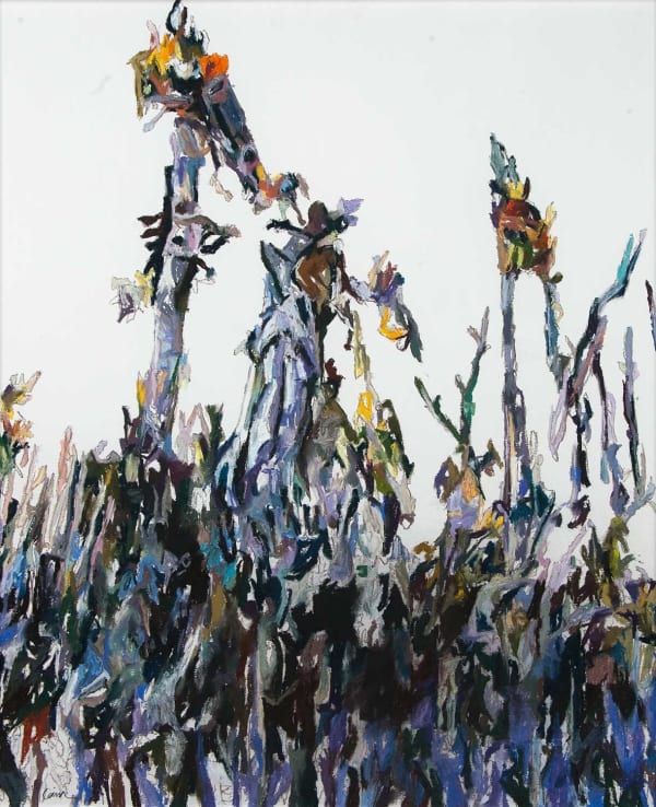 Patricia Paolozzi Cain Allen's Garden II, 2015 pastel 81cm x 61cm