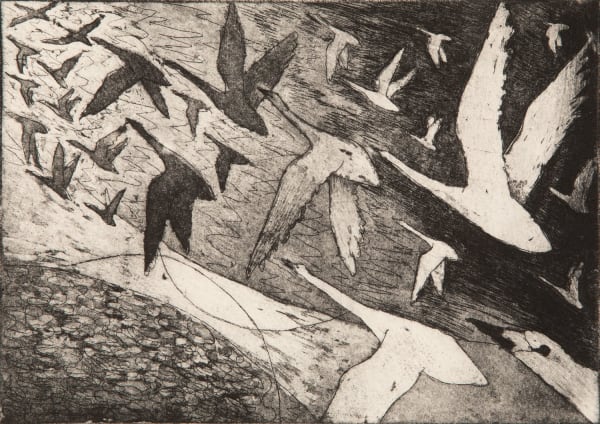 Paul Bloomer Migration, 2019 etching 21cm x 15cm Edition of 50
