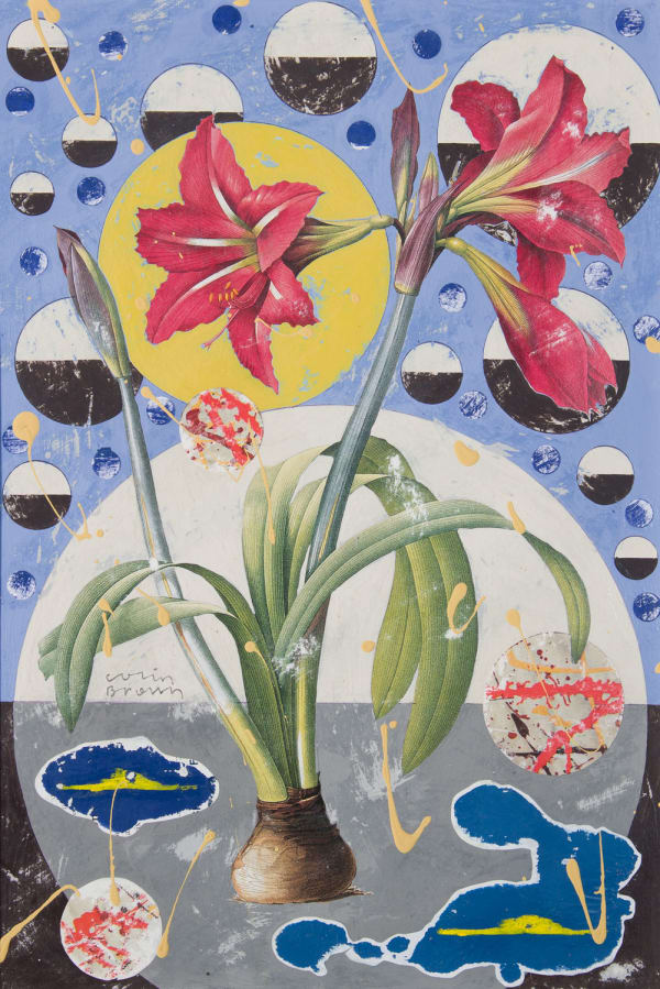 Colin Brown Fire Lily, 2020 mixed media 28cm x 19cm (58cm x 47cm framed)