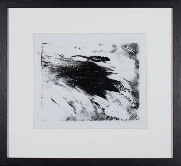 Helen Denerley Lizard on a Rock, 2023 monoprint 20cm x 25cm 42cm x 46cm framed