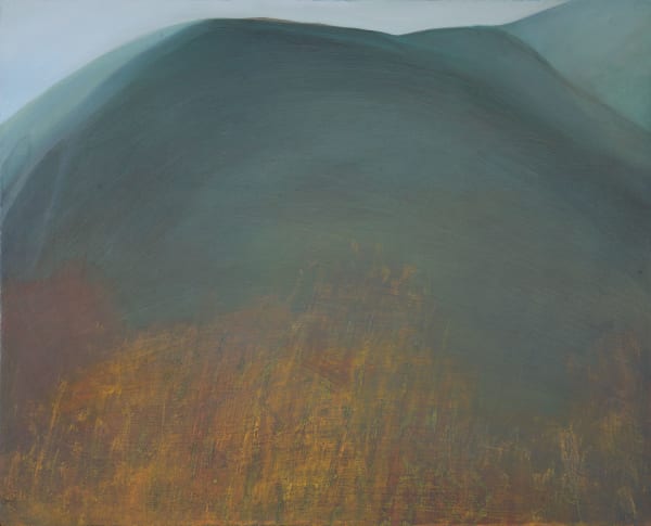 Jane MacNeill Hillside in Shadow ii oil on board 40cm x 49cm