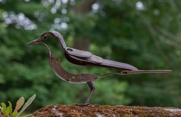 Helen Denerley Jackdaw ii