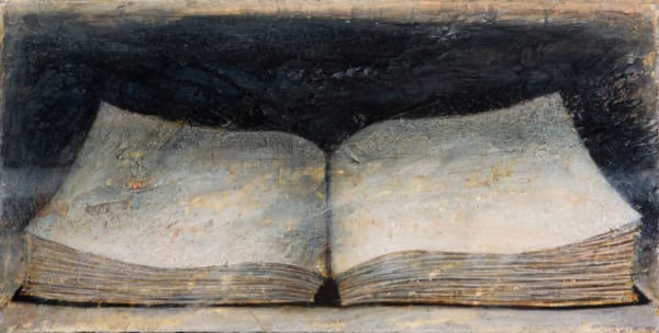 Peter White Book 3 acrylic and wax 17cm x 33cm