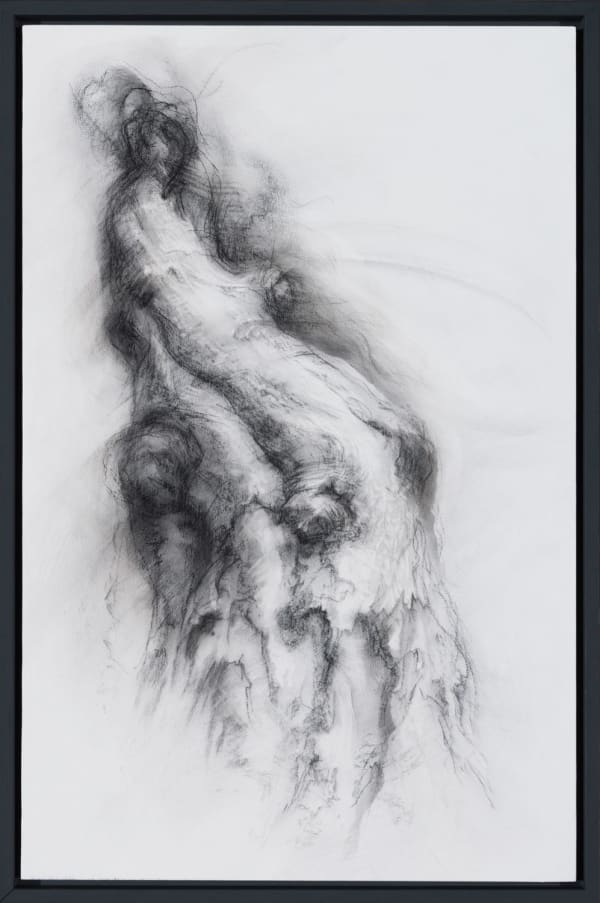 Tansy Lee Moir Transformed, 2023 charcoal on wood panel 54cm x 36cm framed