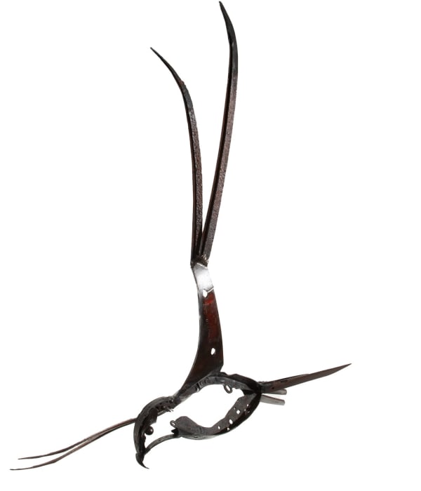 Helen Denerley red kite