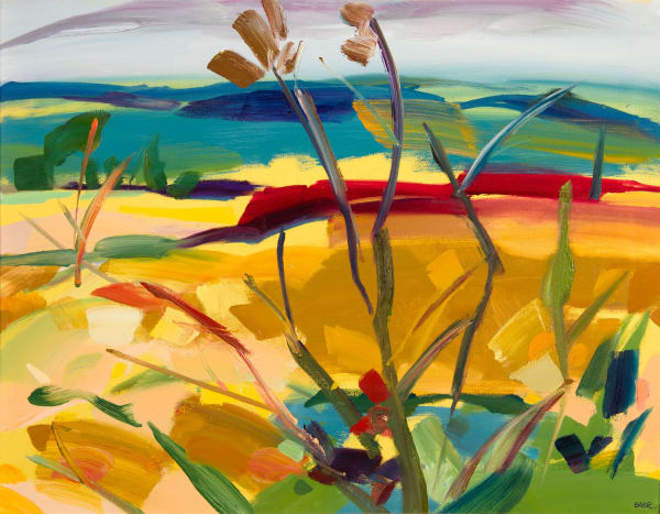 Shona Barr Auchnagatt, 2019 oil on canvas 71cm x 91cm 28 x 36 in