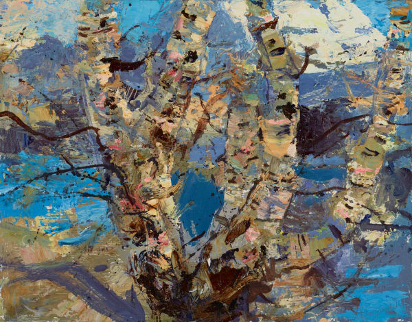 Allan MacDonald birch entanglement oil 28cm x 36cm