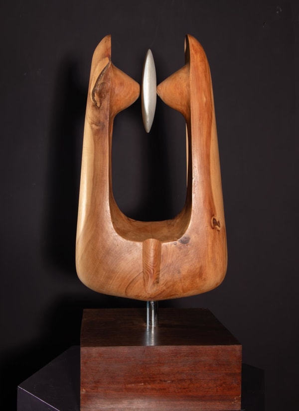 Stewart Lowe - Moon catcher