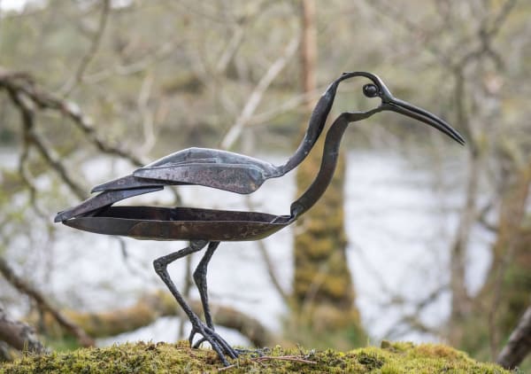 Helen Denerley - Whimbrel