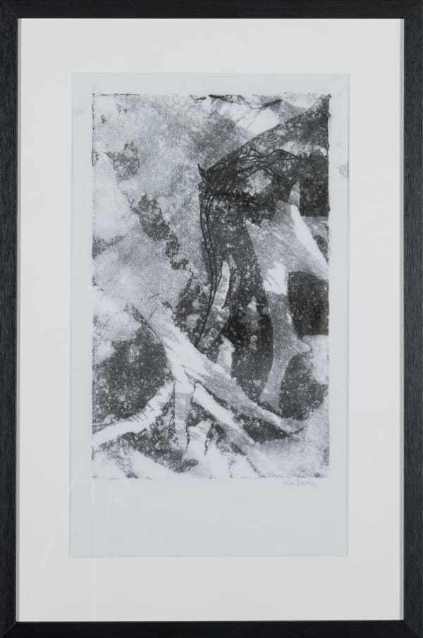 Helen Denerley Lizard on rock i, 2023 monoprint 39cm x 24cm (85cm x 43cm framed)