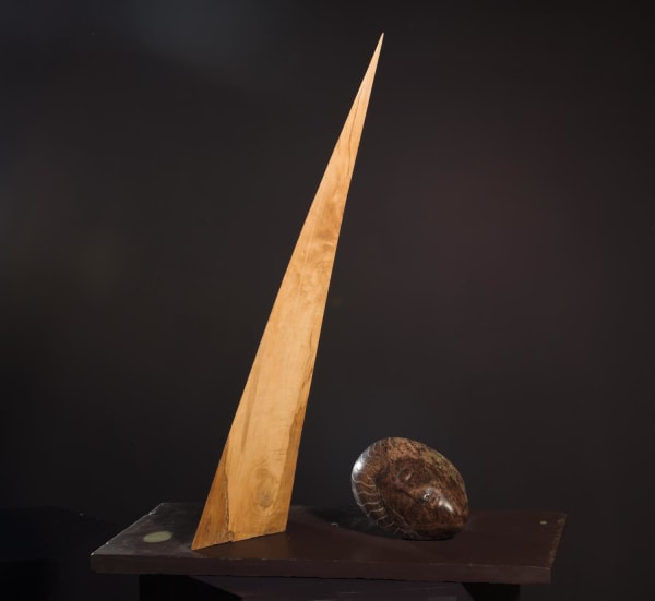 Stewart Lowe - Guardian