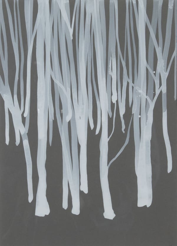 Lizzie Rose Birch Lines ii, 2022 gouache on grey paper 28cm x 20cm (47cm x 37cm framed)