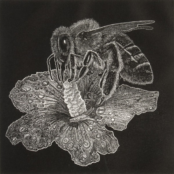 Ade Adesina Dusk, 2019 linocut 30cm x 30cm Edition of 30