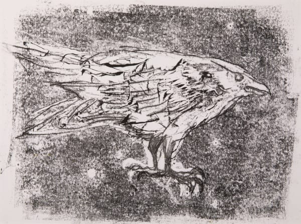Helen Denerley Raven iii, 2019 monoprint 23cm x 31cm unframed, 39cm x 46cm framed