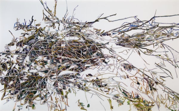 Patricia Paolozzi Cain Pour away the ocean and sweep up the wood mixed media 105cm x 170cn
