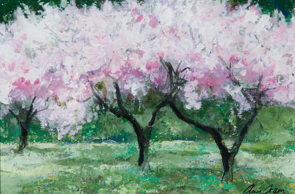 Ann Oram Three Blossom Trees in an Orchard acrylic 20cm x 30cm (36.5cm x 47cm framed)