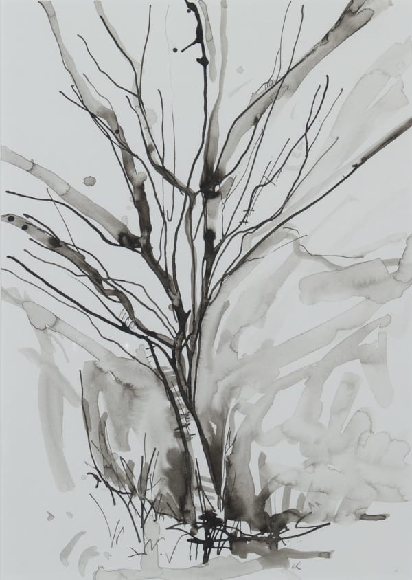 Lizzie Rose Tree Drawing ii, 2022 ink on paper 28cm x 20cm (47cm x 37.5cm)