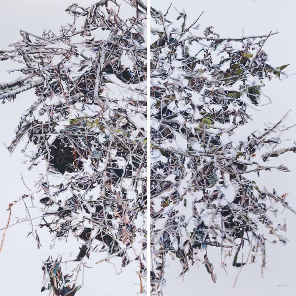 Patricia Paolozzi Cain Thicket II, 2015 pastel 170cm x 170cm