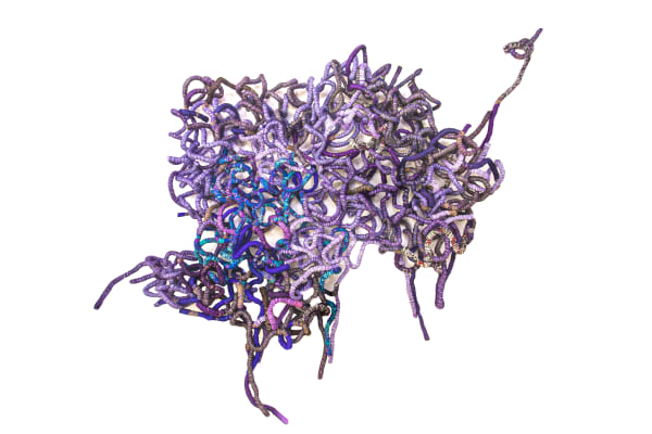 Eva Obodo, Anonymous, 2020