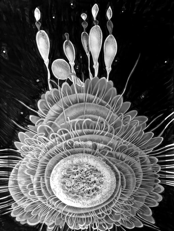 Odun Orimolade, Infinitum, 2023