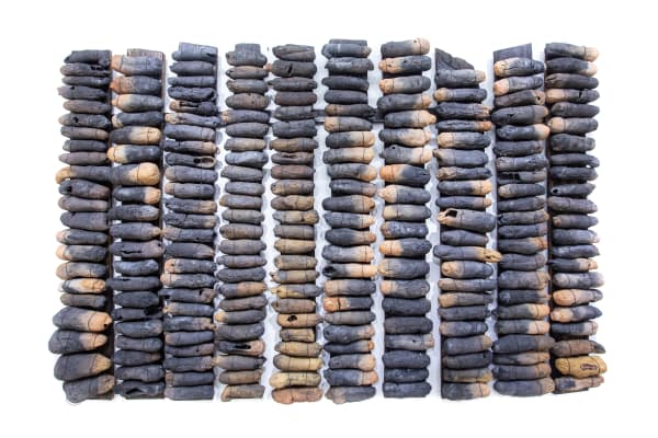 Ozioma Onuzulike, We are like yam seedlings in a burnt barn, 2019