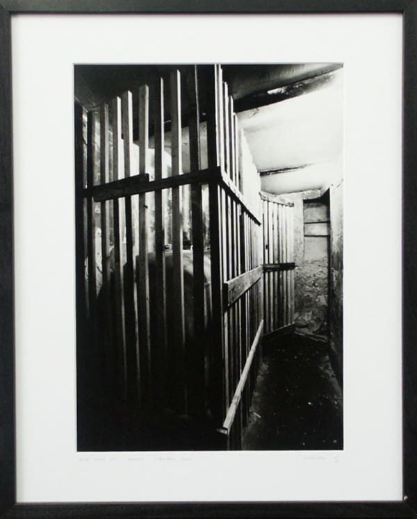 Gregor Schneider, Totes Haus Ur Keller Venedig 2001, 2001