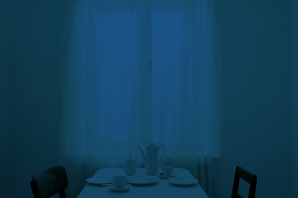 Gregor Schneider, u r 10 Kaffeezimmer RAL 5005, 2015