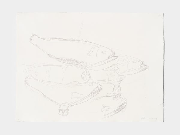 Bruce Nauman, Untitled [4 fish], 2024