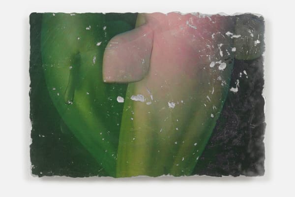 Katja Novitskova, Earthware (soft approximation, beluga 06), 2022