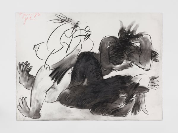 Schlachtenseerosen am 8. Juni 1986