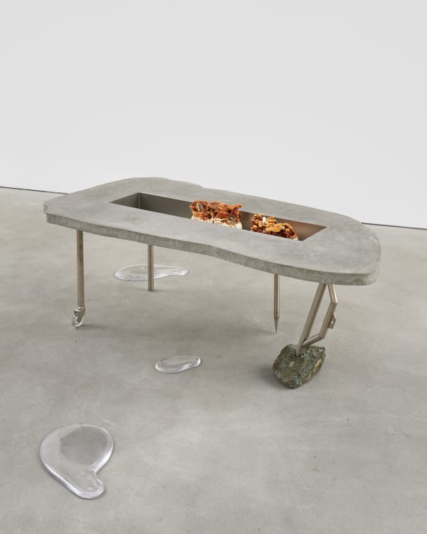 Untitled (from the series Nest)