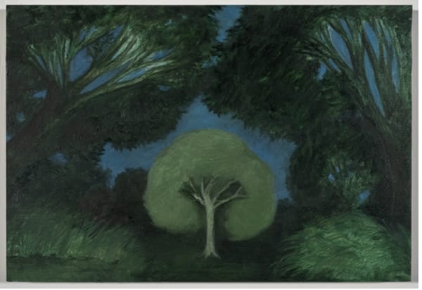 Tree in a landscape