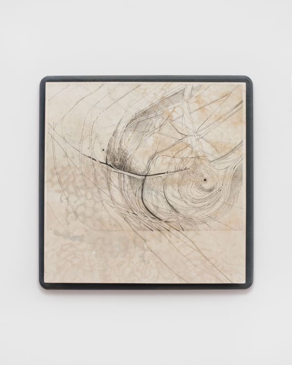 and thrives in silence