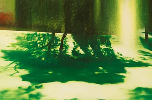 Hyojun Hyun, The Forest in Glasgow's Park II, 2011-12