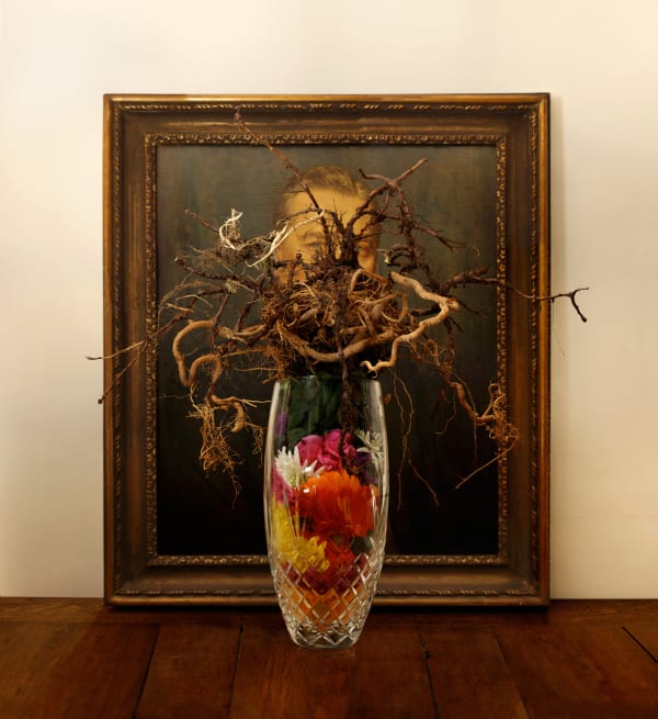 Jonny Briggs, Organs, 2016