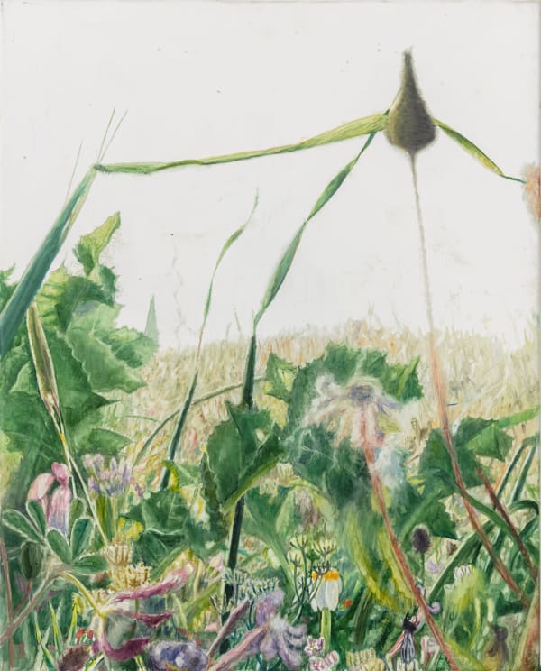 Vibeke Slyngstad, Shuafat IX, 2019