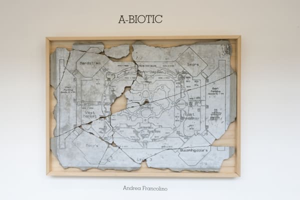 Andrea Francolino, Mall of America, 2013